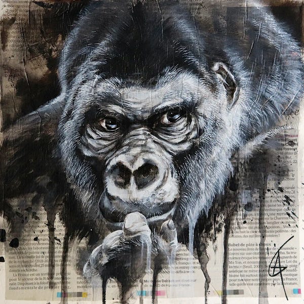 Emotive Animals: Django by ANAGRUZ