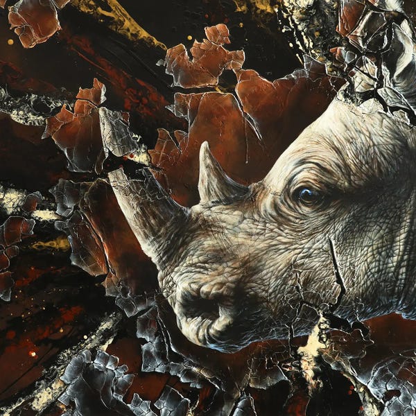 Rhinoceroses: Inyathi by ANAGRUZ