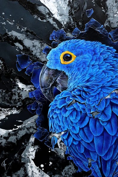 ANAGRUZ: Kasuku by ANAGRUZ