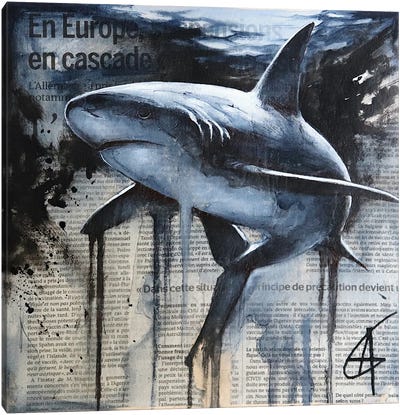 Eja Canvas Art Print - Shark Art