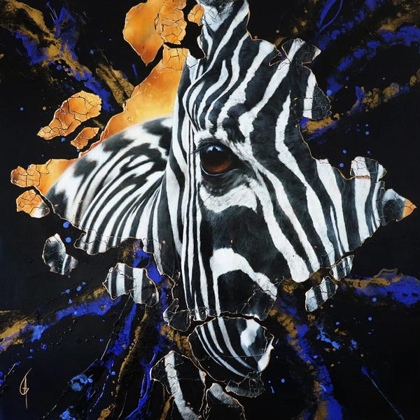 Zebras: Madhan by ANAGRUZ