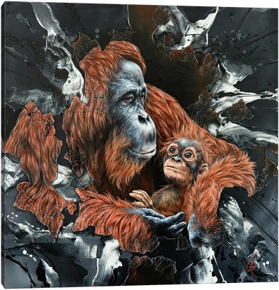 Mae Canvas Art Print - Orangutan Art