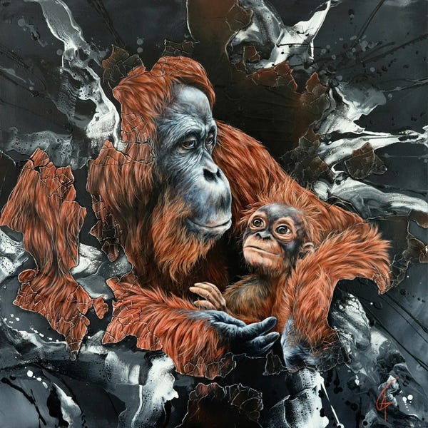 Orangutans: Mae by ANAGRUZ