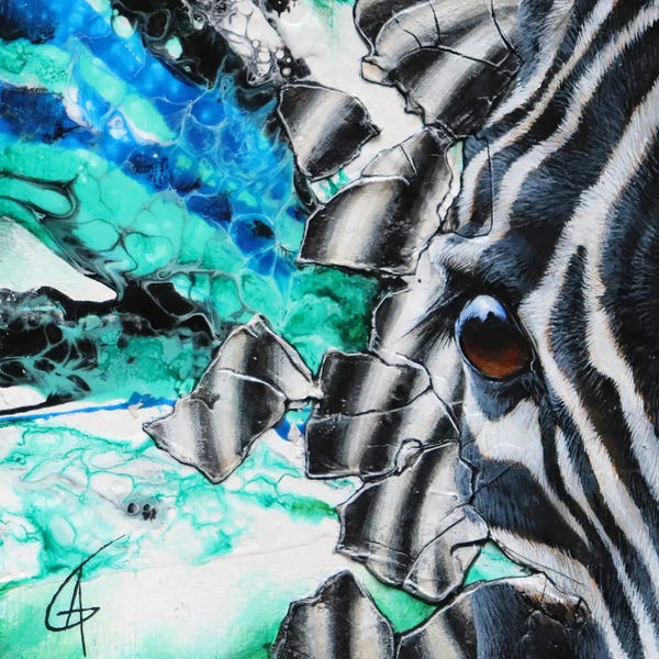 Zebras: Myinn by ANAGRUZ