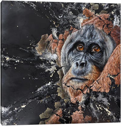 Omata Canvas Art Print - Orangutan Art
