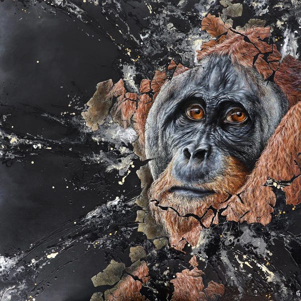 Emotive Animals: Omata by ANAGRUZ