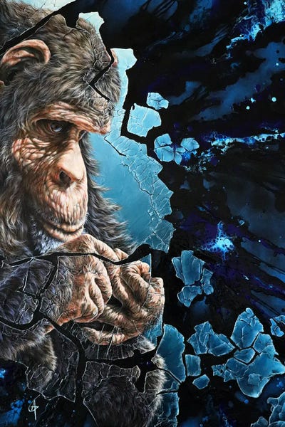 Chimpanzees: Taliti by ANAGRUZ