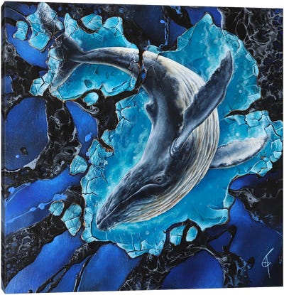 Tohora Canvas Art Print - Humpback Whale Art
