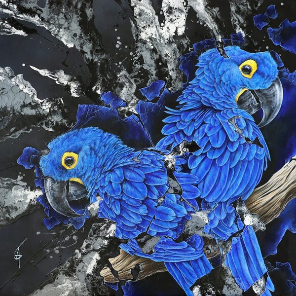 ANAGRUZ: Tokorua by ANAGRUZ