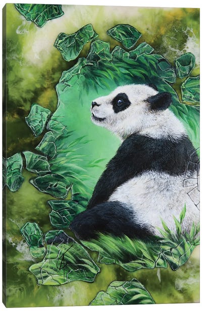 Mimmpi Canvas Art Print - Panda Art