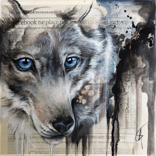 Emotive Animals: Forvi by ANAGRUZ