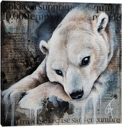 Ibhele Canvas Art Print - Polar Bear Art