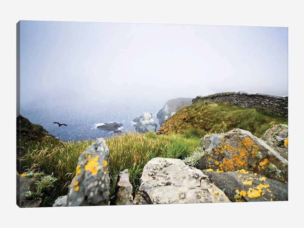 Foggy Morning at the Shetland Islands by Anja Hebrank 1-piece Art Print