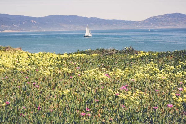 Ann Hudec: Morning In Santa Barbara Ii by Ann Hudec