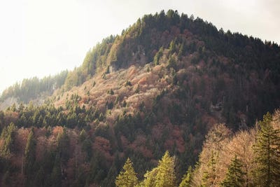 Mountain Light by Ann Hudec framed wall art