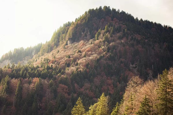 Ann Hudec: Mountain Light by Ann Hudec