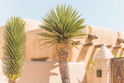 Oasis by Ann Hudec framed wall art