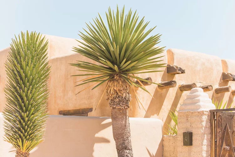 Oasis by Ann Hudec wall art