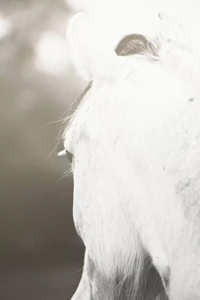 Ann Hudec: Pearl by Ann Hudec