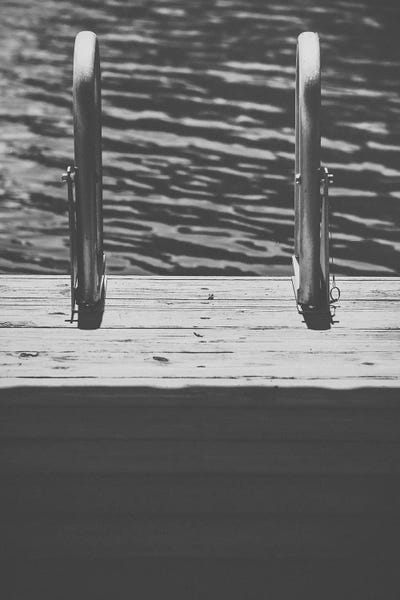 Ann Hudec: Plunge by Ann Hudec