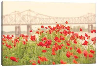 Red Poppies Canvas Art Print - Vintage Styled Photography