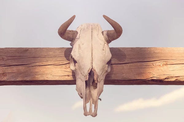 Ann Hudec: Relic by Ann Hudec