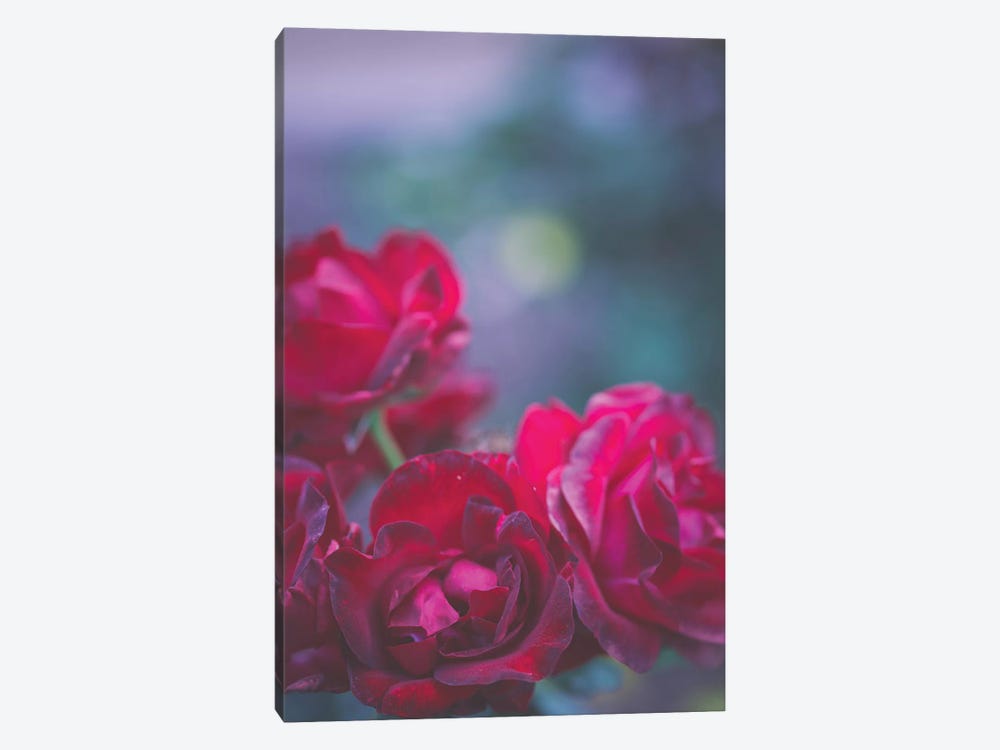 Roses Are Red by Ann Hudec 1-piece Canvas Art