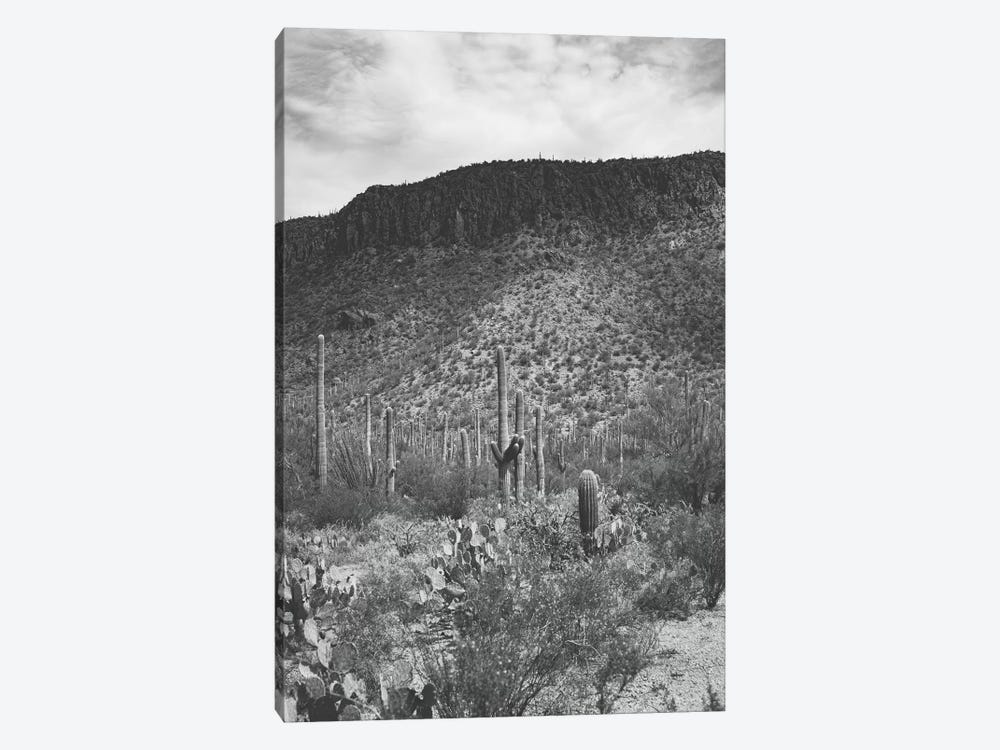 Saguaro by Ann Hudec 1-piece Canvas Print