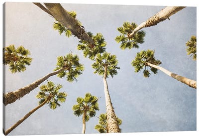 Summer In L.A. I Canvas Art Print - Vintage Styled Photography