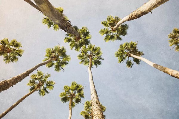 Ann Hudec: Summer In L.A. I by Ann Hudec