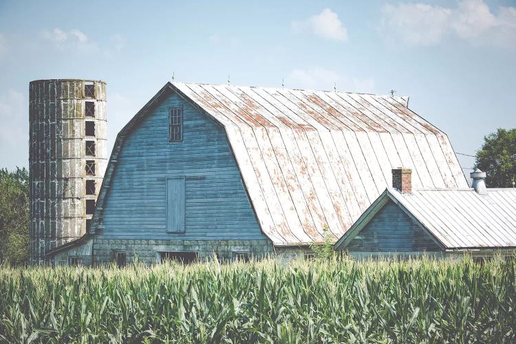 Summer On The Farm by Ann Hudec wall art
