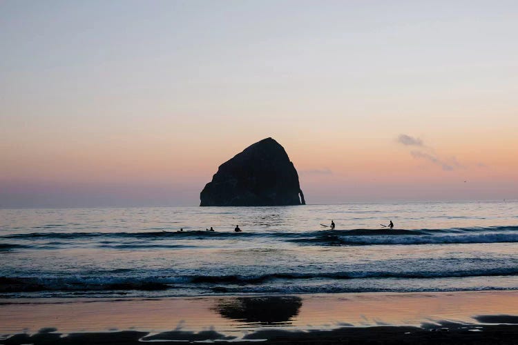 Sunset Surfers by Ann Hudec wall art