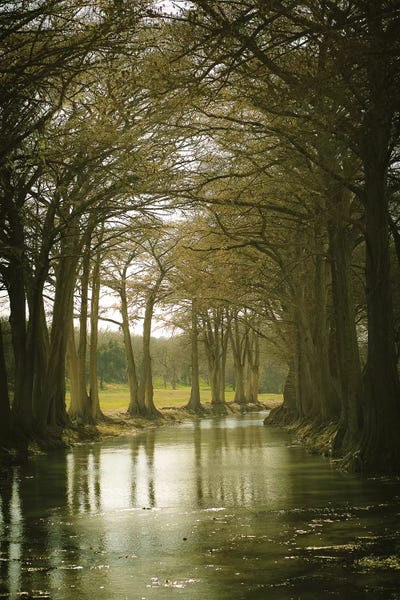 Ann Hudec: Texas Hill Country by Ann Hudec