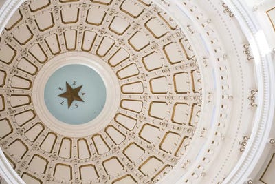 Texas State Capitol II by Ann Hudec art print