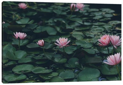 The Lilypond Canvas Art Print - Vintage Styled Photography