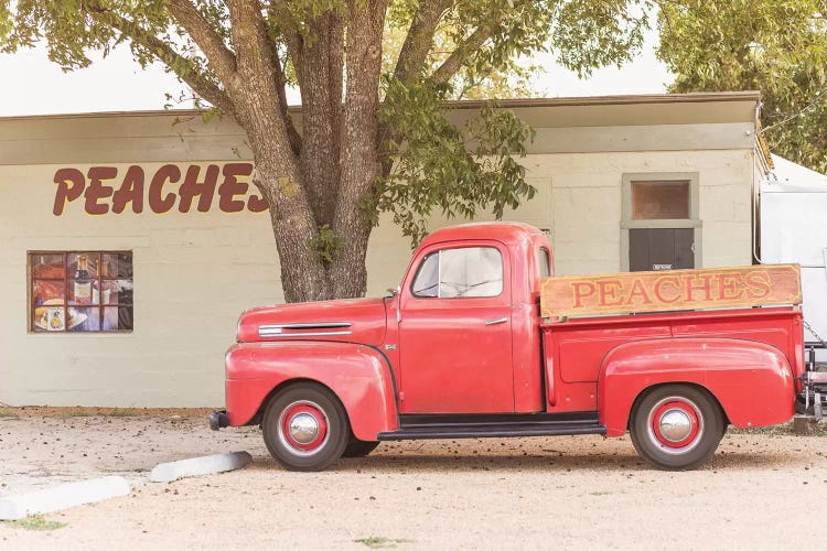 The Peach Truck by Ann Hudec wall art