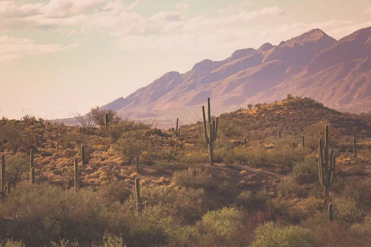 Tucson Sunrise