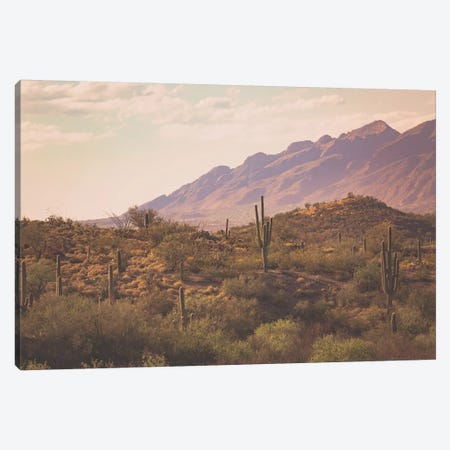 Tucson Sunrise Canvas Print #AHD172} by Ann Hudec Canvas Art