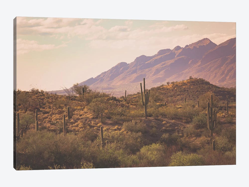 Tucson Sunrise by Ann Hudec 1-piece Canvas Artwork