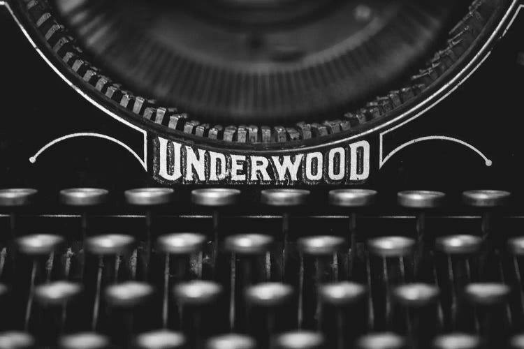 Underwood by Ann Hudec wall art