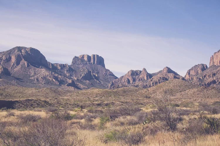 West Texas Vista