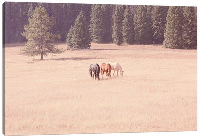 Montana Horses Canvas Art Print - Montana Art