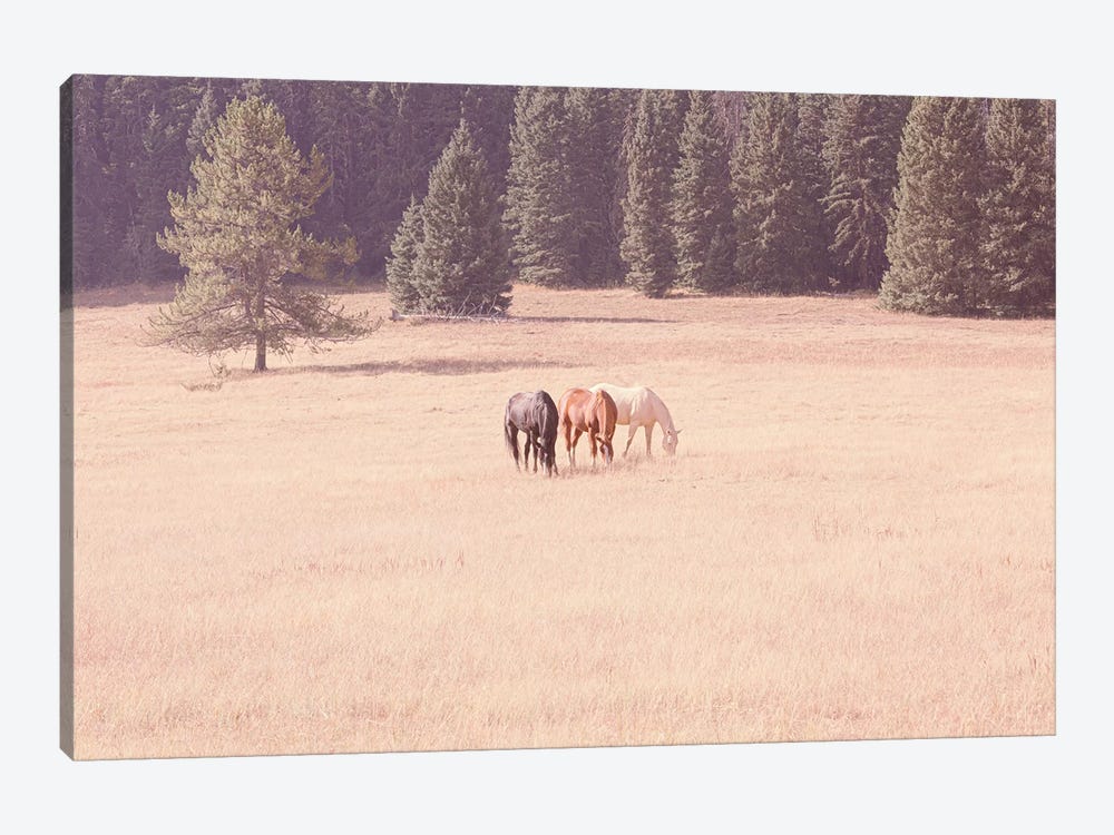 Montana Horses by Ann Hudec 1-piece Canvas Art Print