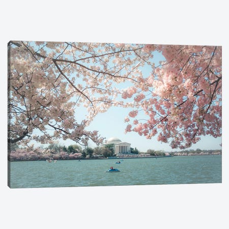 Washington Dc Cherry Blossoms Canvas Print #AHD201} by Ann Hudec Canvas Wall Art
