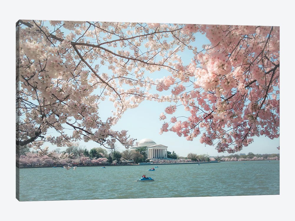 Washington Dc Cherry Blossoms 1-piece Canvas Art