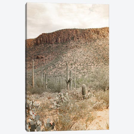 Desert Heart - Tucson, Arizona Canvas Print #AHD205} by Ann Hudec Canvas Print