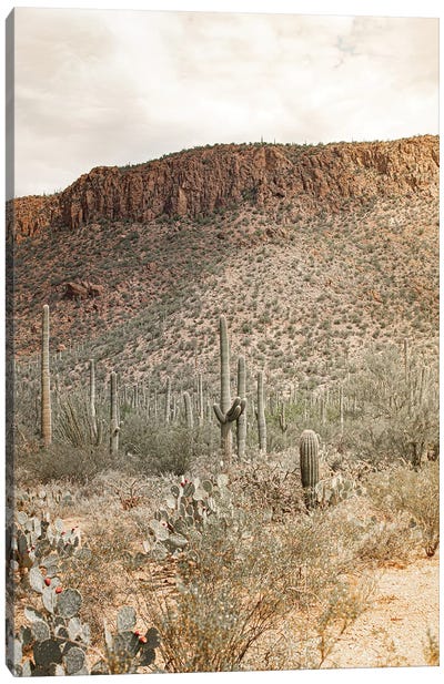 Desert Heart - Tucson, Arizona Canvas Art Print - Ann Hudec