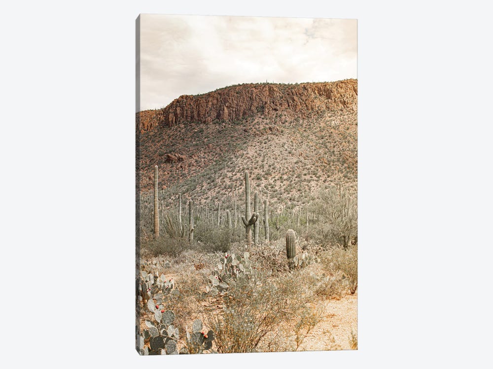 Desert Heart - Tucson, Arizona by Ann Hudec 1-piece Canvas Art