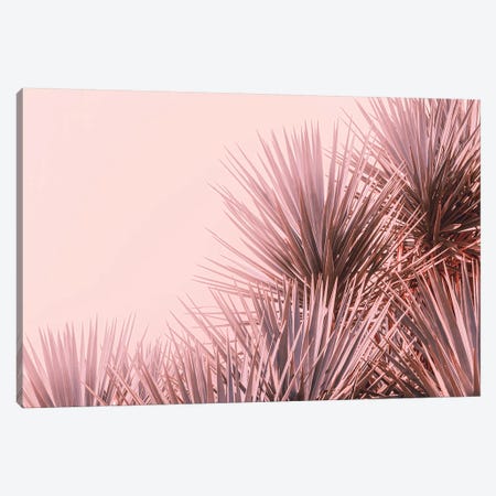 Boho Pink Palms Canvas Print #AHD206} by Ann Hudec Canvas Art Print
