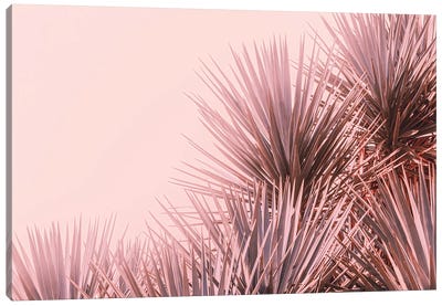 Boho Pink Palms Canvas Art Print - Beach Vibes